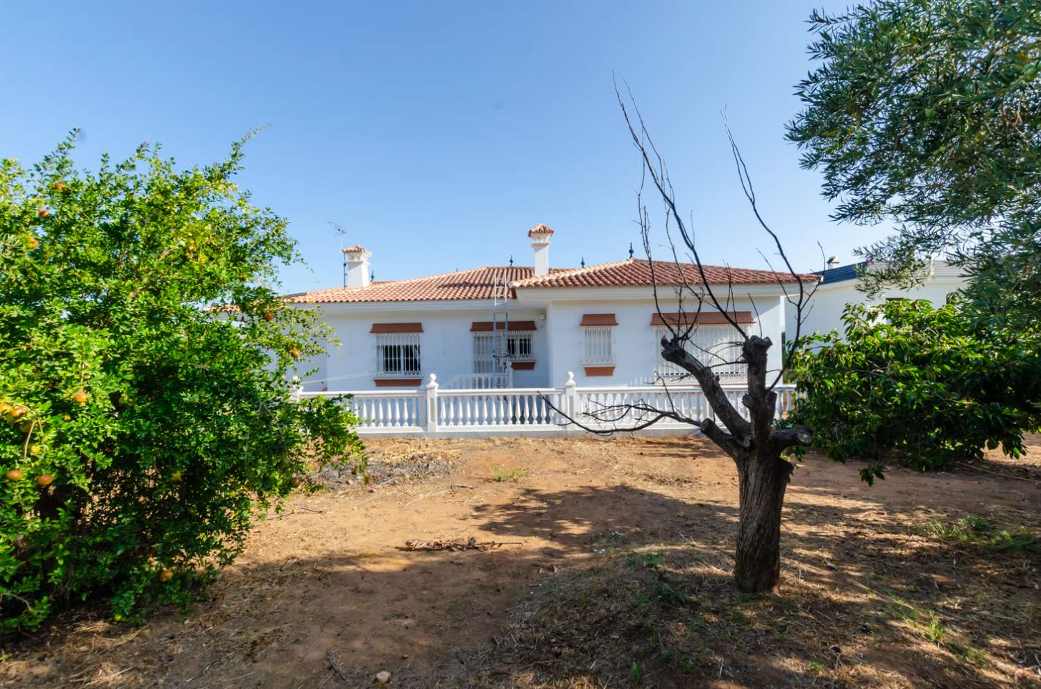 Villa independiente en venta   en  Pinos de Alhaurín-Málaga.